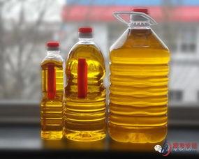 劣质食用油爆料标准最新,最新爆料标准曝光，食品安全警钟长鸣